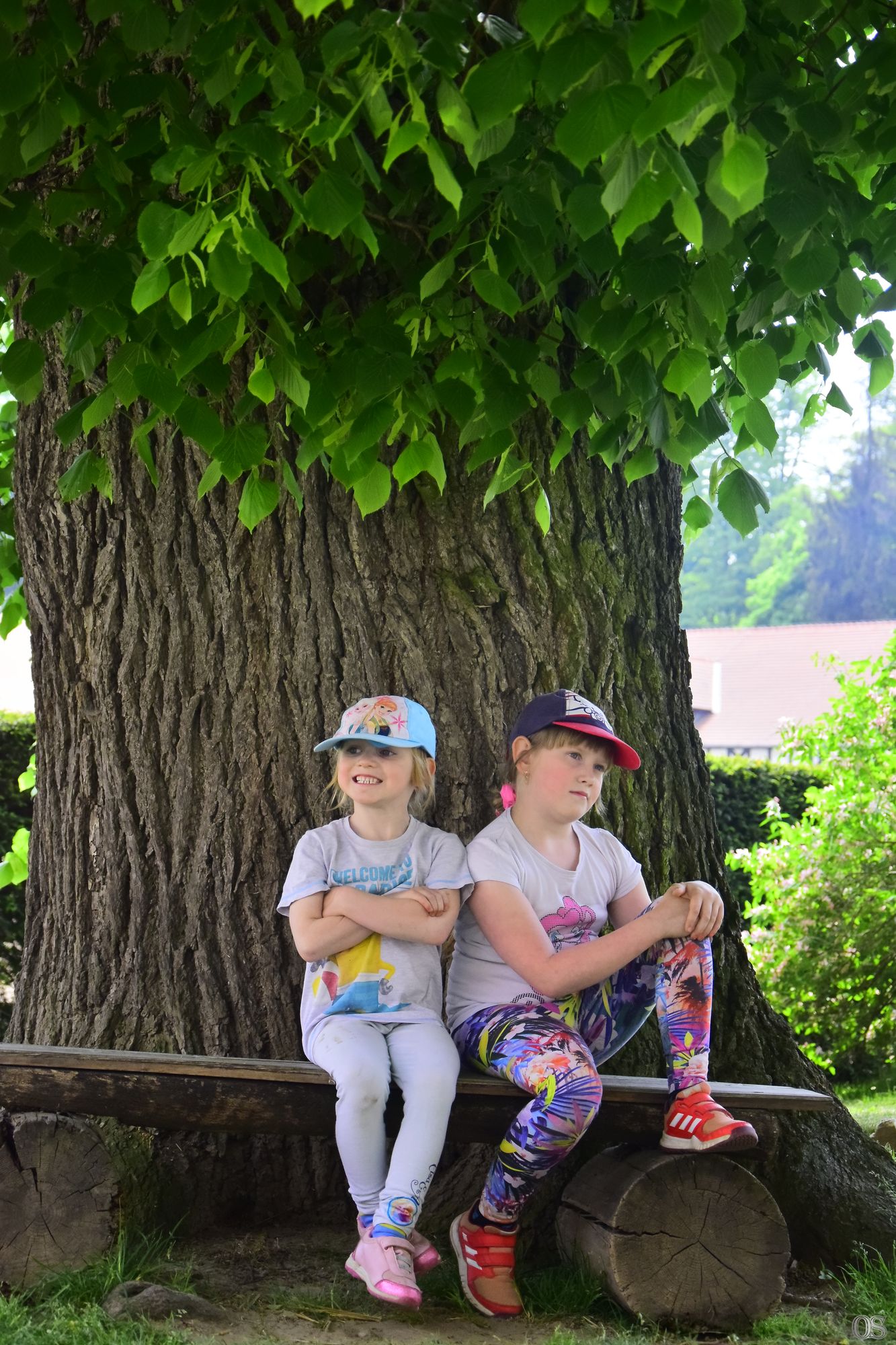 Sciezka Hochbergow 13.jpg